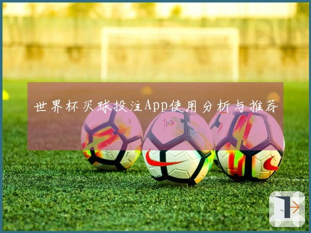 世界杯买球投注App使用分析与推荐
