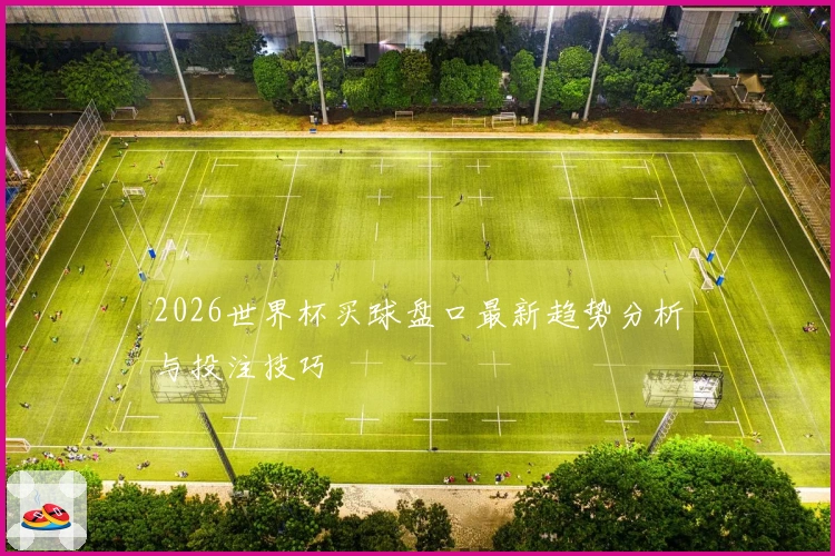 2026世界杯买球盘口最新趋势分析与投注技巧