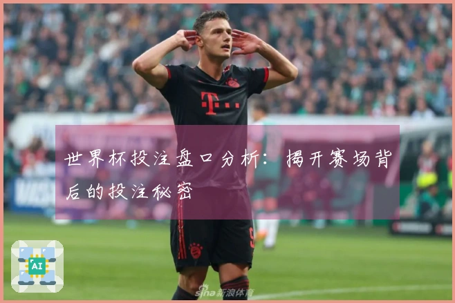 世界杯投注盘口分析：揭开赛场背后的投注秘密