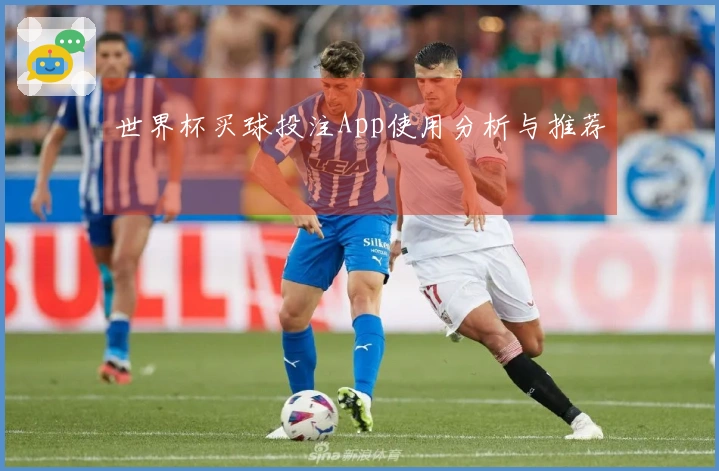 世界杯买球投注App使用分析与推荐