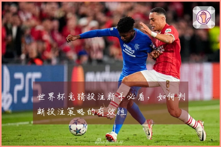 世界杯竞猜投注新手必看，如何判断投注策略的有效性