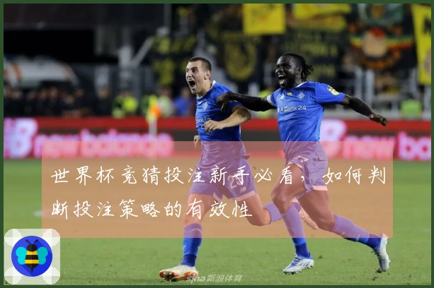 世界杯竞猜投注新手必看，如何判断投注策略的有效性